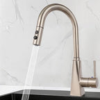 Hibbent Pull Out Sink Sprayer, 2 Function Kitchen Faucet Head, Bathroom Pull Down Spray Head with G1/2 or 13/16 Inch Male Connector, Brushed Nickel