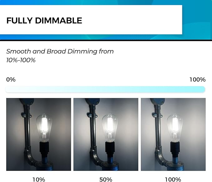 Hizashi Vintage LED Edison Bulb Dimmable, 6W Equivalent 60W, 5000k Daylight, E26 Base Led Light Bulbs, 700LM, High CRI 95+ Eye Protection, Clear Glass, Pack of 12