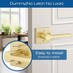 EHOMEWARE 6 Pack Satin Brass Dummy Door Handle, Gold Interior Door Lever for Pull or Push Only, Heavy Duty Single Sided Door Handles for French or Closet Doors