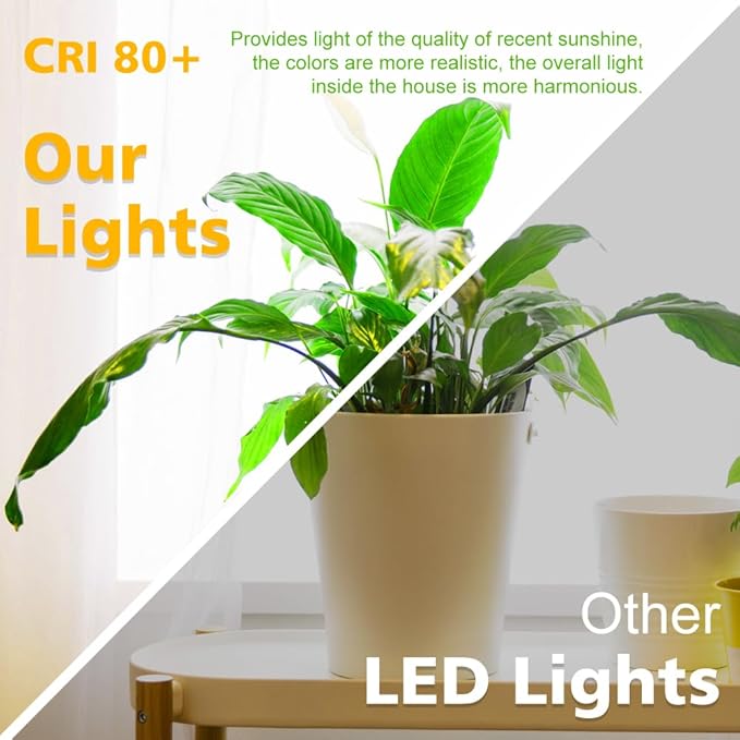 2 Inch LED Downlight, Recessed Lighting Dimmable Ceiling Light, 3W, 4000K Natural White, CRI80 with LED Driver(35W Halogen Equivalent), Black 12 Pack