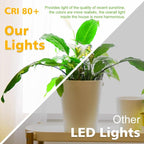 2 Inch LED Downlight, Recessed Lighting Dimmable Ceiling Light, 3W, 4000K Natural White, CRI80 with LED Driver(35W Halogen Equivalent), Black 4 Pack