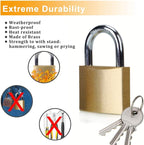 ABRAFOX Solid Brass Same Keyed Padlock Keyed Alike locks-40mm-3pack
