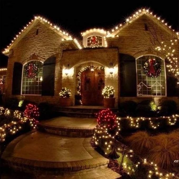 25 Pack C9 Clear Christmas Replacement Bulbs, C9 Christmas Light Bulb for String Lights, E17 Base - 7 Watts