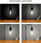 12 PCS ST58 (ST19) LED Edison Bulbs, Dimmable Vintage Antique LED Filament Light Bulbs, 6W Equivalent 60 Watt, Daylight 5000K, 600 Lumens, E26 Base, Clear Plastic