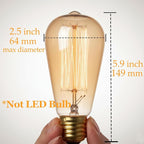 GOENDR E26 40W Edison Bulbs, ST64 Vintage Incandescent Light Bulbs, 2700K Warm Dimmable, Squirrel Cage Filament Bulb for Table Lamp Home Antique Decorative, 4 Pack