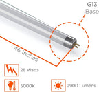 GoodBulb 28W 46 Inch T5 Fluorescent Light Bulb, 5000K Daylight Medium Bi-Pin Base, 2900 Lumens 85 CRI 36000 Life Hours, Instant/Programmed Start (Pack of 40)