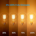 Edison Incandescent Light Bulbs 60 Watt, G25(G80) Vintage Light Large Bulb, 6-Pack Globe Bulbs 2100K Warm White, E26 Medium Base Dimmable, 240 Lumens Filament, Vanity Light Bulbs for Bathroom