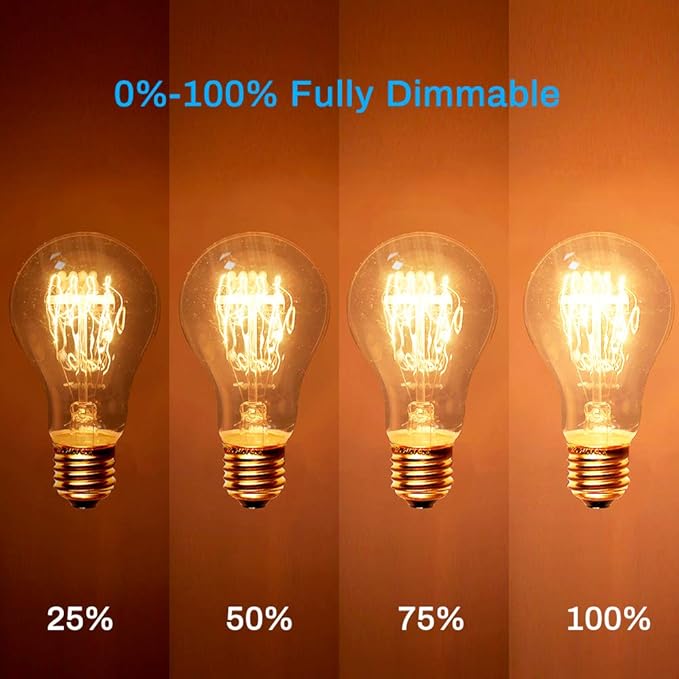 4-Pack Edison Light Bulb, 60 Watts, A19 Vintage Incandescent Light Bulbs, Dimmable Old Fashioned E26 Incandescent Light Bulbs, 240 Lumens, 2100K Warm White, Amber Glass