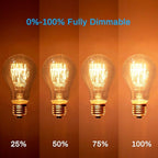 4-Pack Edison Light Bulb, 60 Watts, A19 Vintage Incandescent Light Bulbs, Dimmable Old Fashioned E26 Incandescent Light Bulbs, 240 Lumens, 2100K Warm White, Amber Glass