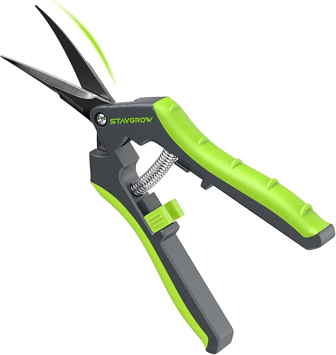 6.5" Pruning Shears for Gardening, Sharp Plant Trimming Scissors for Precise Cuts, Stainless Steel Garden Scissors Bonsai Clippers (1-Pack Curved)