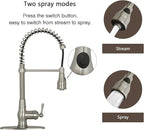 Akicon Pre-Rinse Spring Kitchen Faucet, Single Handle Solid Brass High Arc Pull Down Sprayer Head Kitchen Sink Faucet with Deck Plate