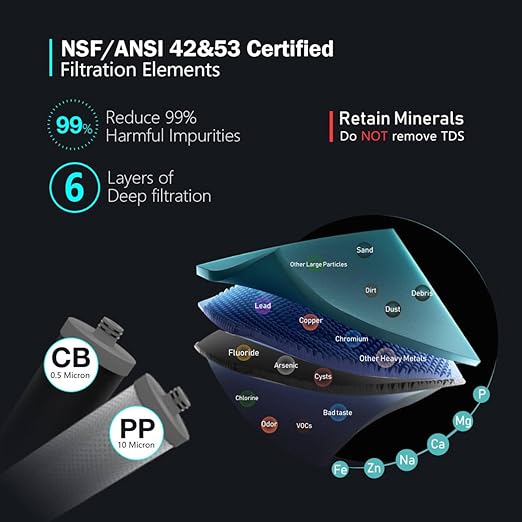 Frizzlife DW15 Under Sink Water Filter System, NSF/ANSI 53&42 Certified Elements, Reduces 99.99% Lead, Chlorine, Fluoride, Bad Taste & Odor, Direct Connect 2-Stage Water Filter, 0.5 Micron, USA Tech