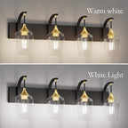 Ralbay Black/Gold Bathroom Vanity Light 4-Lights Industrial Black Vanity Lights Clear Glass Vintage Edison Wall Mount Light Fixtures for Bathroom