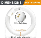 FC12T9/WW 32 Watt and FC8T9/KB 22W Set, 8 inch T9 22W and 12'' 32W Circular Fluorescent Light Bulbs Warm White, Circle Light Bulb 3000K, FC12T8/WW 3500 Lumen G10Q Base