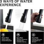 WEWE Black Kitchen Sink Faucets: Water Faucet with Pull Down Sprayer Stainless Steel Single Handle 1 Or 3 Hole for Farmhouse Commercial Camper Laundry Rv Bar