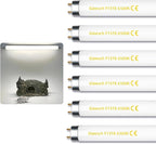 15W 18" T8 Linear Fluorescent Light Tube Bulb, 1.5 Feet F15T8 DL Medium Bi-Pin G13 Base 6500K Daylight 6 Pack