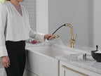Delta Almari Brushed Gold Kitchen Faucet with Pull-Out Sprayer, Modern Single Hole Kitchen Sink Faucet, Single Handle, Champagne Bronze 16943-CZ-DST
