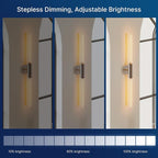 FLSNT Polished Nickel 2-Light Wall Sconce with Clear T30 Edison LED Bulbs, Dimmable E26 Standing Lamp, 2700K Soft White, 90CRI, 350LM, Industrial Wall Light for Living Room, Bedroom, Office