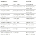 Better Life All Purpose Cleaner - Multipurpose Home and Kitchen Cleaning Spray for Glass, Countertops, Appliances, Upholstery & More - Multi-surface Spray Cleaner - 32oz Clary Sage & Citrus