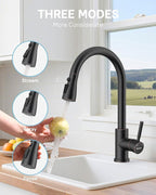 WEWE Kitchen Faucets with Pull Down Sprayer, Stainless Steel Single Handle 1 Hole for Family Kitchen Commercial Camper Laundry Rv Bar, Oil Rubbed Bronze