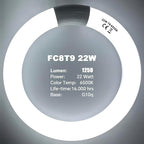 FC8T9 22W and FC12T9 32W Set Daylight, 8 inch T9 22 Watts Circular Light Bulbs, 12 inch 32 Watts Circline Fluorescent Bulb CRI 80, 6500K 3350 Lumen G10q