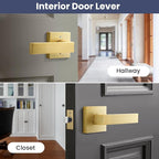 EHOMEWARE 2 Pack Closet Door Handles Interior Non-Locking Lever Set for Hallway Door or Closet with Satin Brass Finish, Reversible for Right or Left Side