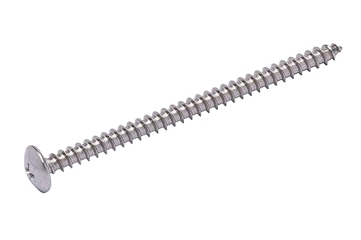 Bolt Dropper #10 X 3 inch Stainless Truss Head Phillips Wood Screw (25 Pieces), 18-8 (304) Stainless Steel Screws, ssd Screws