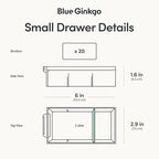 Blue Ginkgo Small 20-Drawer Cabinet – Stackable Clear Organizer for Hardware, Beads, Plastic Bricks, Office, and Craft Storage (Made in Korea, Blue)