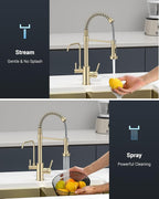 APPASO Gold Kitchen Faucet with Water Filter, Brushed Gold Kitchen Sink Faucet, 3 in 1 Kitchen Faucet (Without Water Filtration Device)