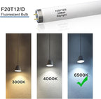 (6Pack F20T12/D Daylight 24 inch 20 watt T12 Straight Fluorescent Light Tube, 1350 Lumens, 6500K Daylight, Medium Bi-Pin G13 Base