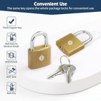 HOX 12-Pack Keyed Padlock, Waterproof and Rustproof, Solid Brass Lock with 1-1/4" Wide Body, Padlock with Keys for Storage Unit, Sheds, Garages and Fence