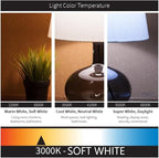 Diodesy- U-Bend T8 Fluorescent Tube Light Bulb 32W 3000 Lumens 3000K Soft White G13 Miniature Bi-Pin Base Rohs Compliant Pack of 12- U Shaped Linear Replacement Lamp