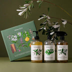 Koala Eco Gift Set of 3 Includes: Kitchen Cleaner, Dish Soap, Hand Wash, Beautifully Packaged - Australian Lemon Eucalyptus, Lemon Myrtle & Rosemary Essential Oil, 16 oz (3 Pack)