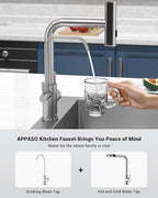 APPASO Waterfall Kitchen Faucet with Water Filter, 2 Handle Kitchen Sink Faucet, Brushed Nickel Kitchen Faucet with Pull Down Sprayer - 3 in 1 Kitchen Sink Faucet (Without Water Filtration Device)