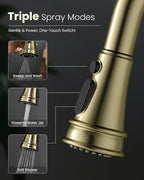 APPASO Gold Kitchen Faucet with Pull Down Sprayer, Antique Single Handle 1 Hole High Arc Pull Out Kitchen Sink Faucets