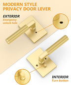 Asidrama 6 Pack Brushed Gold Privacy Door Handles, Door Lever with Door Knobs Indoor for Bedroom or Bathroom, Heavy Duty Door Handles Interior with Locks for Left Right Sided Doors