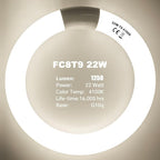 FC8T9/CW 22W and FC12T9/CW 32W Cool White Set, 8 inch T9 22 Watts Circular Light Bulbs, 12 inch 32 Watts Circline Fluorescent Bulb Round Ring Bulb CRI 80, G10q Prong