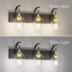 Ralbay Black/Gold Vanity Light Fixtures 3-Lights Industrial Black/Gold Bathroom Vanity Light with Clear Glass Vintage Edison Bathroom Wall Lighting Fixtures