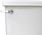 Danco 12062 Toilet Tank Lever, Chrome