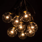 Hometown Evolution, Inc. 25 Foot C9 Commercial LED G50 Globe String Lights with 20 LED G50 Clear 2 Inch .6 Watt Bulbs and Black Wire