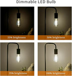 8 PCS Dimmable Vintage LED Edison Bulbs, 6W Equivalent 60 Watt, Natural White 4000K, Antique Flexible Spiral LED Filament Light Bulb, ST58 (ST19), 600 Lumens, E26 Base, Clear Plastic