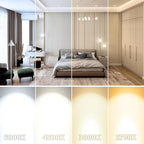 2 Inch LED Downlight, Recessed Lighting Dimmable Ceiling Light, 3W, 5500K Daylight White, CRI80 with LED Driver(35W Halogen Equivalent), 4 Pack