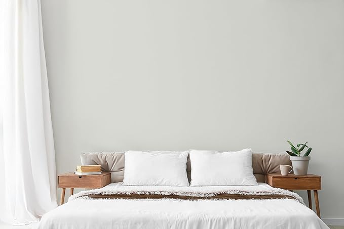 EVOLVE Paint & Primer: Environment-friendly, Low Sheen with One-coat Coverage for Interior & Exterior surfaces (Morning Frost, 1-Gallon)