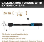 DISEN 10-Piece Metric Torque Wrench Adapter Set (10-19mm) - Chrome Vanadium Steel, 3/8-inch Square Drive Torque Adapter, Extension Rod Repair Tool, Color Box Packaging