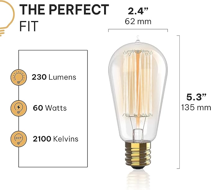 HUDSON BULB CO. Vintage Edison Incandescent 60W 12-Pack Light Bulbs - Antique ST64 Dimmable 2100K Warm Decorative Squirrel Filament - E26/E27 Base for Indoor Outdoor - Lightbulb - Outdoor Light