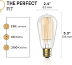 HUDSON BULB CO. Vintage Edison Incandescent 60W 12-Pack Light Bulbs - Antique ST64 Dimmable 2100K Warm Decorative Squirrel Filament - E26/E27 Base for Indoor Outdoor - Lightbulb - Outdoor Light