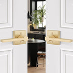 EHOMEWARE 1 Pack Gold Dummy Door Handle, Heavy Duty Single Sided Door Lever, Non Turning Interior Door Handles for Pull or Push Only