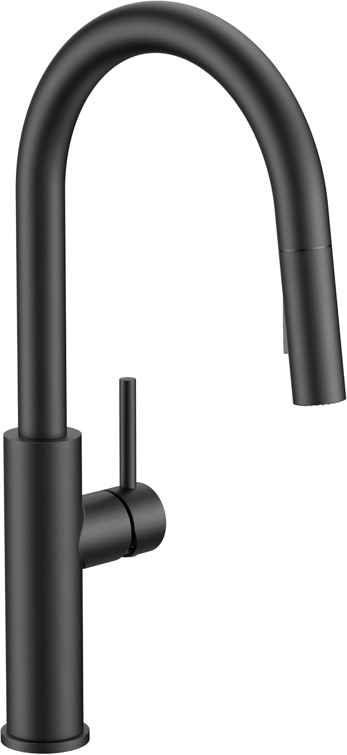 FORIOUS Kitchen Faucet with Pull Down Sprayer, Classic Matte Black, Single Handle High Arc Stainless Steel Kitchen Sink Faucet, 1 or 3 Hole Deck Mount for RV, Bar, Farmhouse, Laundry, Outdoor