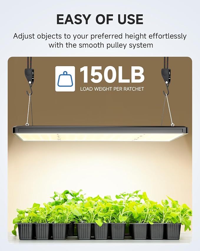 Fondwell 1/4" Rope Tie-Downs Ratchet Straps: 12 Pack of Heavy Duty Adjustable Hangers for Various Hanging and Strapping