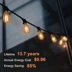 TJOY 12 Pack Vintage 8W ST58 LED Edison Amber Light Bulbs, 60W Equivalent, 800 Lumens, 2200K Soft White, Dimmable, E26 Base LED Filament Bulbs, CRI80+, Antique Glass Style for Home, Bedroom